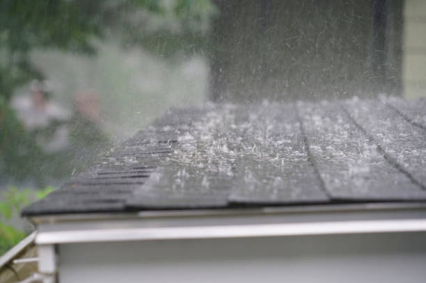 Best Metal Roofing Installation  in Adrian, MI