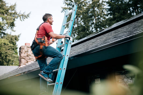 Best Roof Insulation Installation  in Adrian, MI